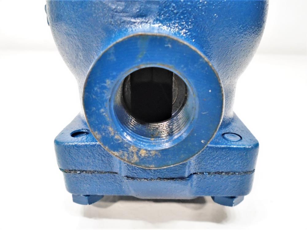 Watson McDaniel 3/4" Drainer, WLD1413-N-065, Ductile Iron